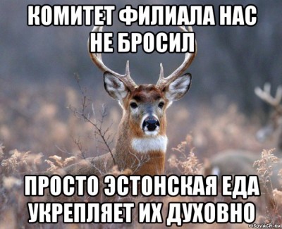 deer1.jpg