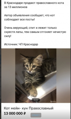 Православный кот Мейнкун.png